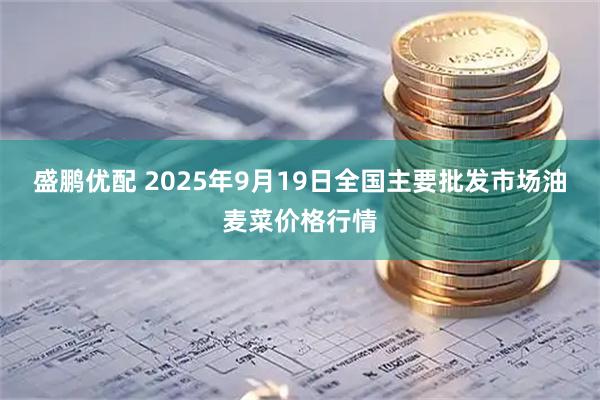 盛鹏优配 2025年9月19日全国主要批发市场油麦菜价格行情