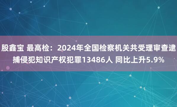 股鑫宝 最高检：2024年全国检察机关共受理审查逮捕侵犯知识产权犯罪13486人 同比上升5.9%