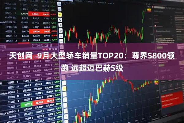 天创网  9月大型轿车销量TOP20：尊界S800领跑 远超迈巴赫S级
