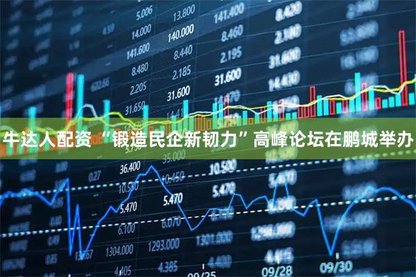 牛达人配资 “锻造民企新韧力”高峰论坛在鹏城举办