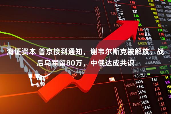 海证资本 普京接到通知，谢韦尔斯克被解放，战后乌军留80万，中俄达成共识