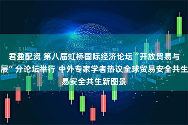 君盈配资 第八届虹桥国际经济论坛“开放贸易与安全发展”分论坛举行 中外专家学者热议全球贸易安全共生新图景