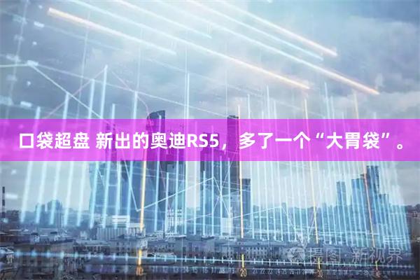 口袋超盘 新出的奥迪RS5，多了一个“大胃袋”。